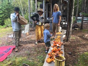 Foragers examining their mushrooms