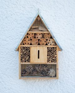 A bee hotel