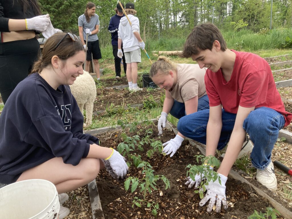 Des élèves plantent des arbres dans le cadre du Projet Gaia. 