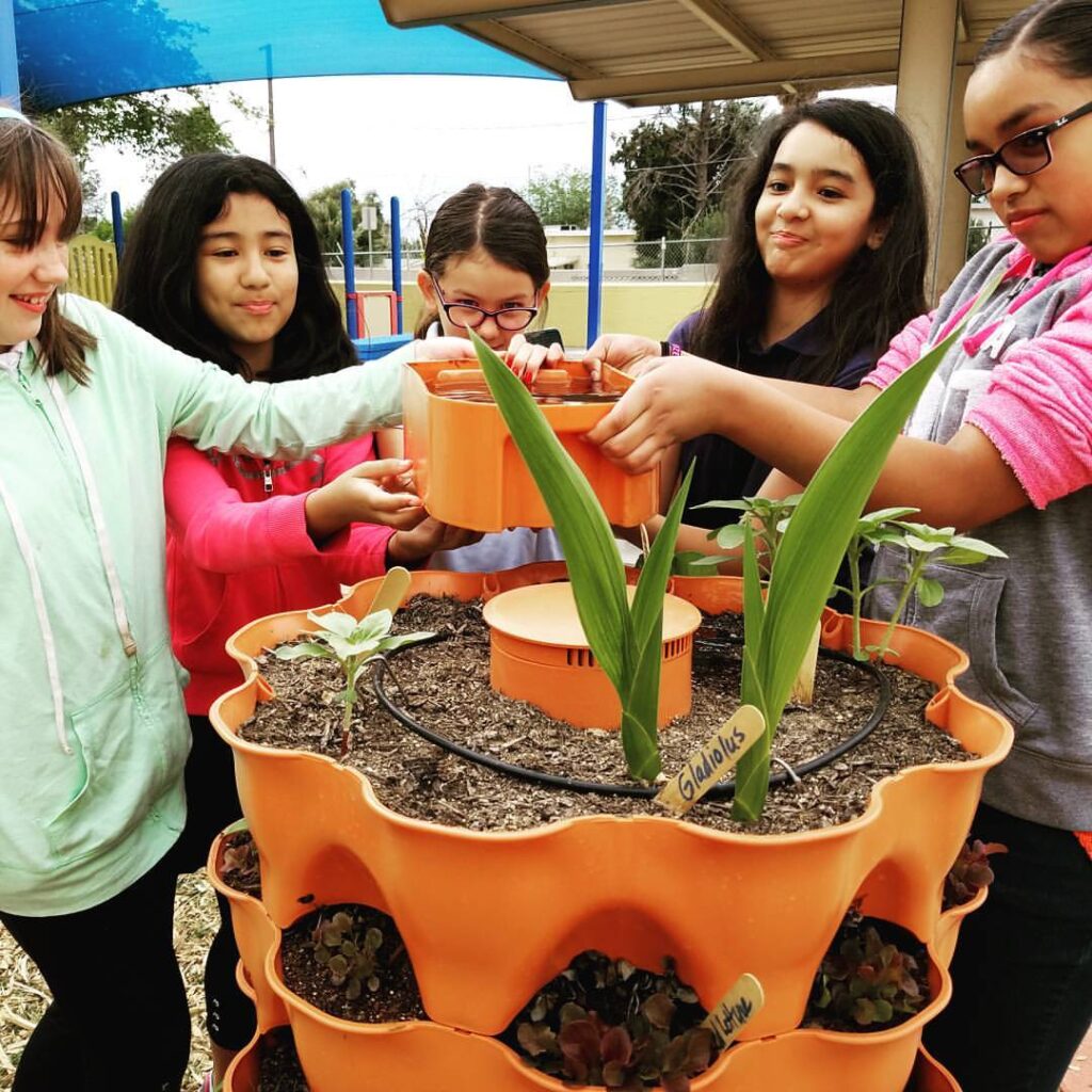 Students gather around a garden tower 2 