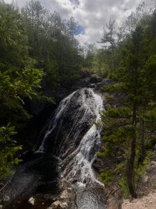 Une petite cascade qui jaillit d’une forêt 