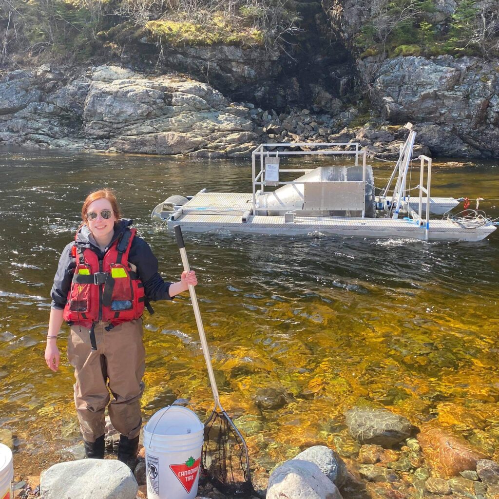 A photo of Angela Dick at work, outside standing in a river with a net 