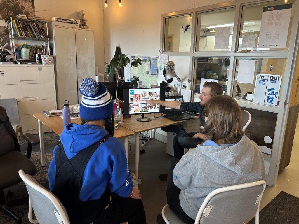 Two students and a green mentor looking at a computer screen 