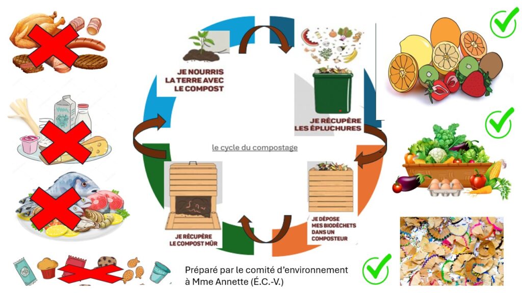 A graphic created by students showcasing the cycle of waste 