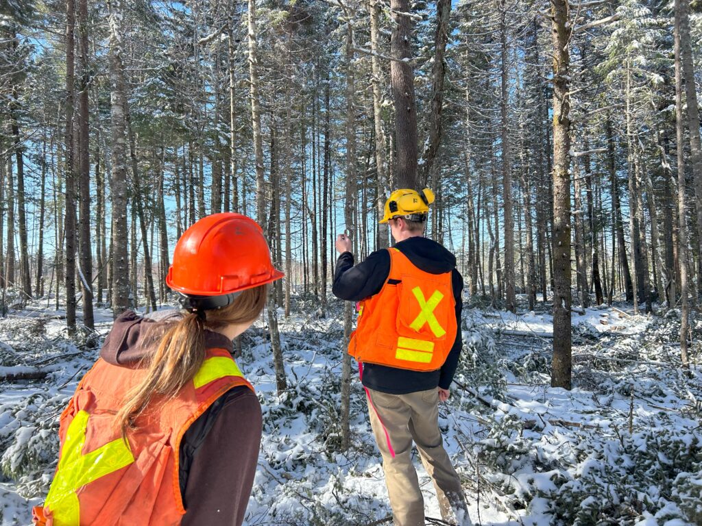 Two people walking in a forest on a snowy day, wearing safety gear (hard hat and reflective vests) 