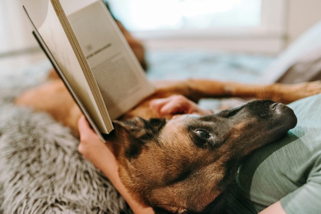 A person sits with a blanket and dog on their lap, reading a book 